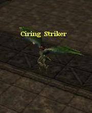 Ciring Striker